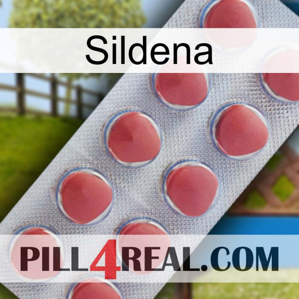 Sildena 18.jpg